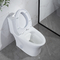 Seramik Tek Parça Tuvalet Kendi Kendini Temizleyen Sırlı Yüzey 1.6 Gpf Uzatılmış Tuvalet