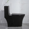 Iapmo Banyo Klozetleri Mat Siyah 1 Adet Çift Gömme Tuvalet Uzatılmış Sifonik Seramik