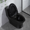 Sifon Çift Gömme Vana Banyo Tuvaletleri Mat Siyah Csa Tuvalet, 10.5 Kaba Siyah
