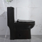 Kompakt Trapway Etekli Tek Parça Tuvalet Klozet Sifon Suyu Kolay Temizlenir