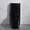 300mm Sifonik Tek Parça Klozet Amerikan Standart Siyah Porselen