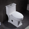 1.28gpf 4.8lpf Dual Flush tek parça tuvalet bide