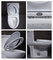 Amerikan Standart Cosette Dual Flush Uzatılmış Tek Parça Beyaz Tuvalet 1.28 Gpf