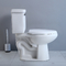 Çerçevesiz İki Parçalı Tuvalet Seramik Sifon Flushing Banyo s-trap 250mm 300mm