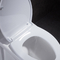 Uzatılmış Sifonik Tek Parça Tuvalet 10 Pürüzlü Sızdırmaz Yavaş Kapanır