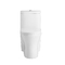 Amerikan Standart Tek Parça Konfor Yüksekliği Tuvalet 0.8gpf Çift Gömme 200 400mm