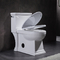 Lavabo Standart Yükseklik Etekli Klozet Tek Parça Yandan Sifonlu Tuvalet 4.8LPF