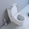 10 Inch Pürüzlü Tek Parça Uzatılmış Tuvalet S Trap Yere Monte Wc Sifonik