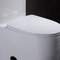 18 İnç Konfor Yüksekliği Tuvalet Amerikan Standardı Ada Lavabo Basınç Desteği