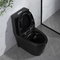 1.6 Gpf Mat Siyah Çift Gömme Uzatılmış Tek Parça Tuvalet Amerikan Standardı