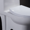 ADA Tek Parça Uzatılmış Konfor Yükseklik Tuvalet Amerikan Standart Beyaz