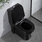 Düşük Profilli Amerikan Standart Tek Parça Uzatılmış Tuvalet Uzun Siyah 1.6Gpf