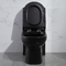 Düşük Profilli Amerikan Standart Tek Parça Uzatılmış Tuvalet Uzun Siyah 1.6Gpf