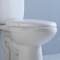 CUPC Beyaz Siyah İki Parçalı Tuvalet 1.28 GPF Klozet Tankı