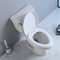 Konfor Yükseklik İki Parçalı Tuvalet Beyaz Yuvarlak Uzun Özellikli Sandalye 800mm